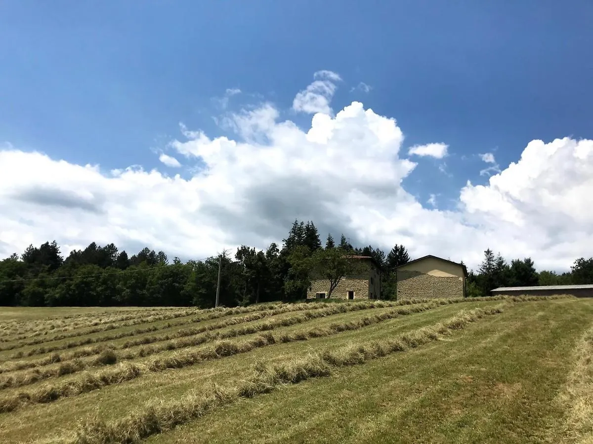Appartamento Agriturismo Il Casone San Benedetto Val di Sambro